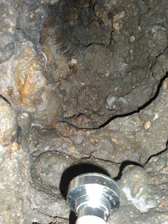 sDSCN8362