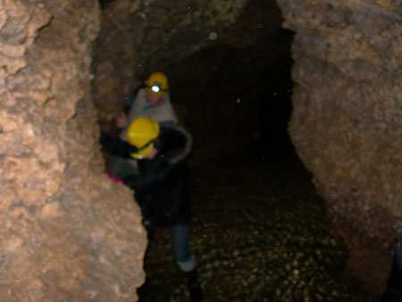DSCN8682