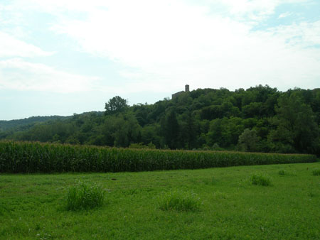 DSCN8173