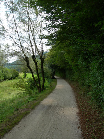 DSCN8184