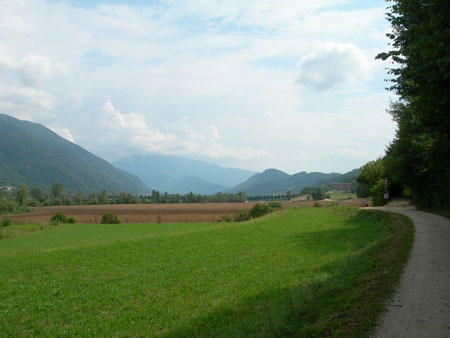 DSCN8186
