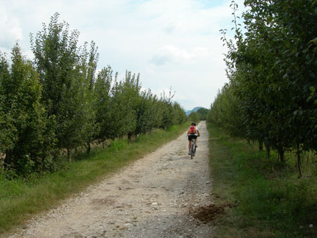 DSCN8194