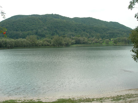 DSCN8265