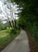 DSCN8184