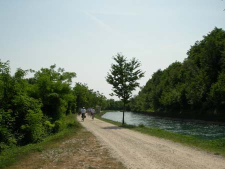 DSCN0384