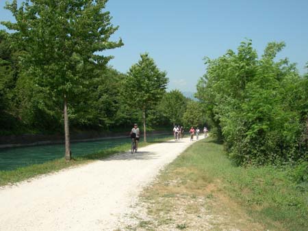 DSCN0385
