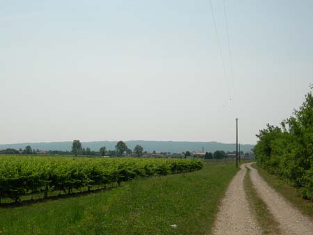 DSCN0403