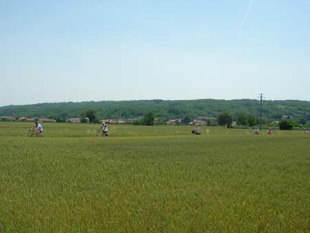 DSCN0410