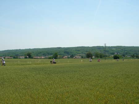 DSCN0411