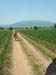 DSCN0415