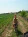 DSCN0416