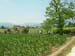 DSCN0418