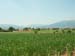 DSCN0421