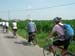 DSCN0442