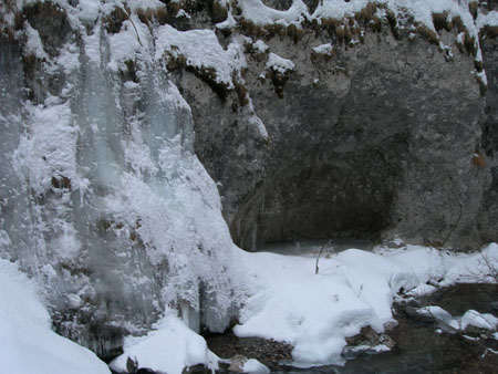 DSCN7422