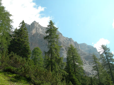 DSCN8424