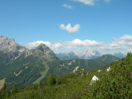 DSCN8449