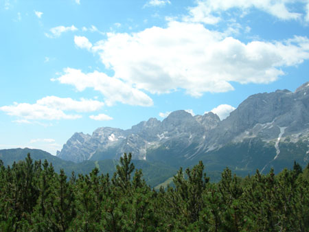 DSCN8486