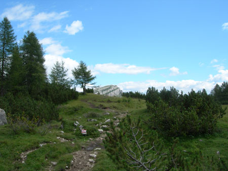 DSCN8494