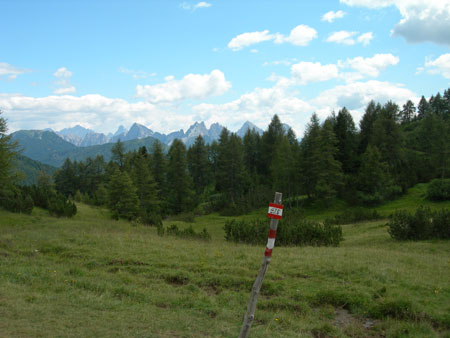 DSCN8502
