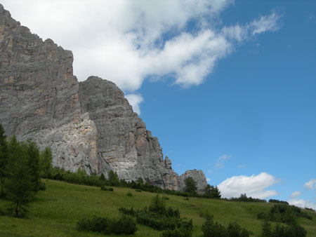 DSCN8503
