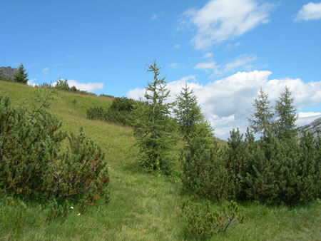DSCN8509
