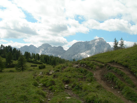 DSCN8516