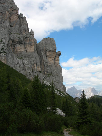 DSCN8528