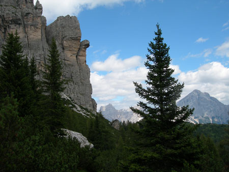 DSCN8530