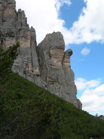 DSCN8531