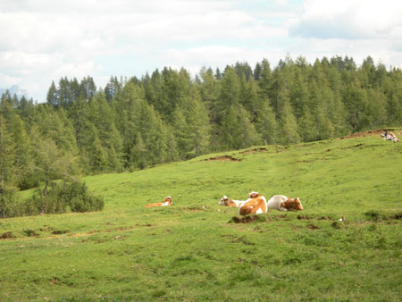 DSCN8561