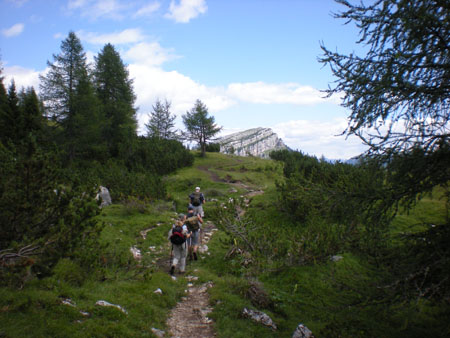 sDSCN8484