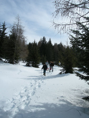 DSCN7741