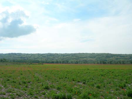 DSCN9945