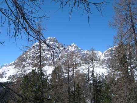 DSCN8451