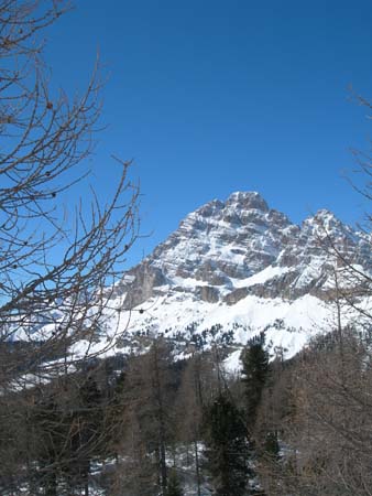 DSCN8459
