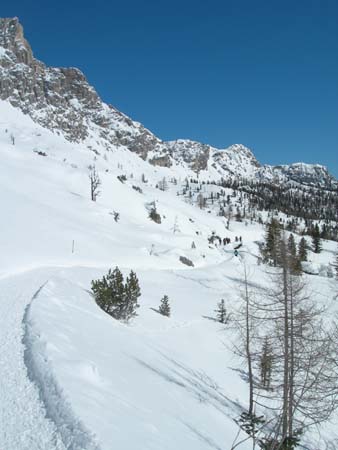 DSCN8475