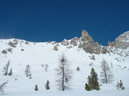 DSCN8477