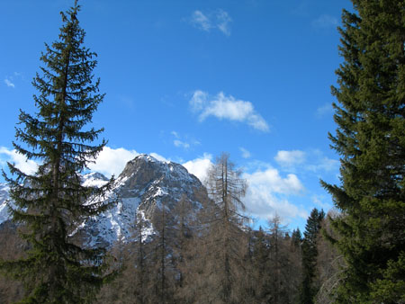 DSCN0328