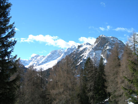 DSCN0331