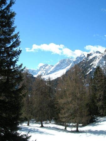 DSCN0332