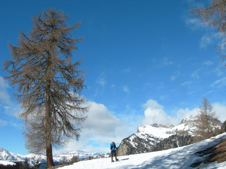DSCN0335