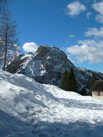 DSCN0336