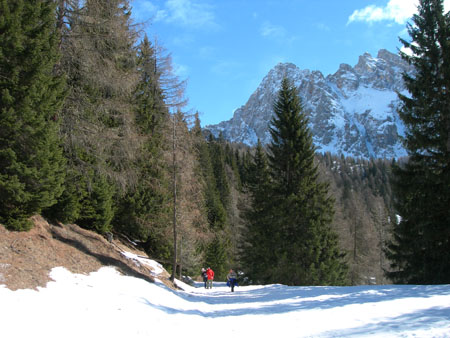 DSCN0337