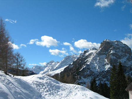 DSCN0339