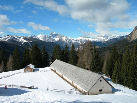 DSCN0347