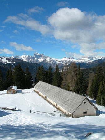 DSCN0348