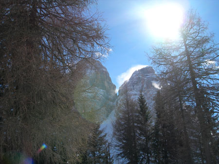 DSCN0350