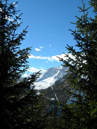 DSCN0352