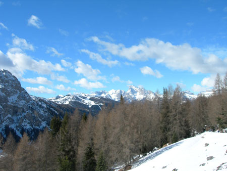 DSCN0360